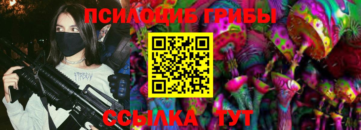 Псилоцибиновые грибы мухоморы Нальчик