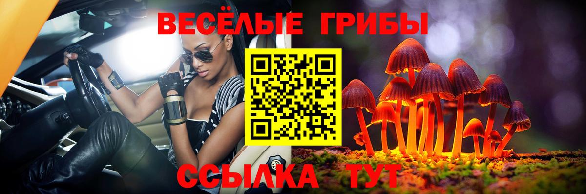 Галлюциногенные грибы Magic Shrooms  Галлюциногенные грибы MAGIC MUSHROOMS  Нальчик  Вход с VPN 